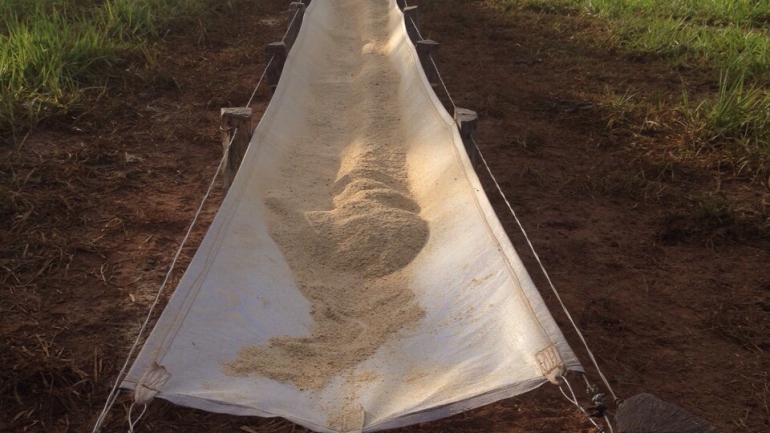 A importância do cocho na  alimentação animal
