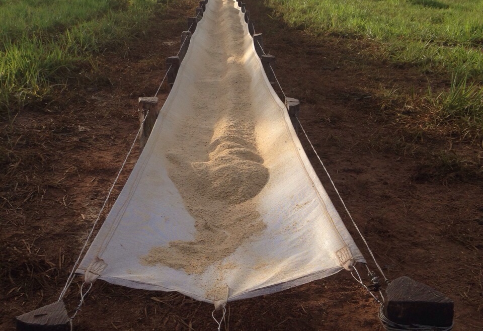 A importância do cocho na  alimentação animal